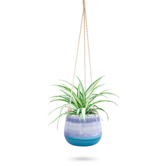 Ceramic Hanging Planter Blue Horizon
