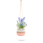 Ceramic Hanging Planter Pink Horizon