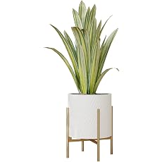 Modern Ceramic Planter with Plant Stand Indoor Decorative Plant Pot